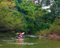 Khao Sok Jungle and Canoeing Image 2